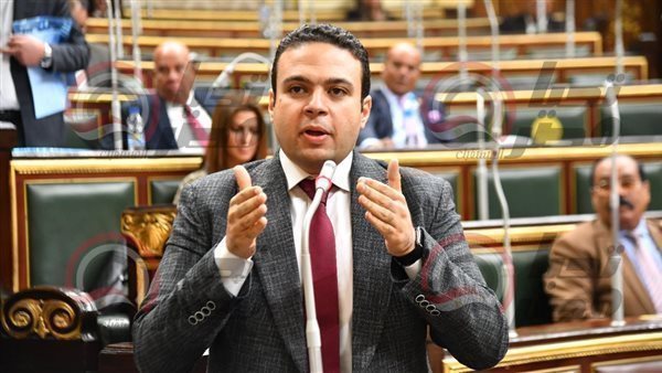 النائب عبد المنعم