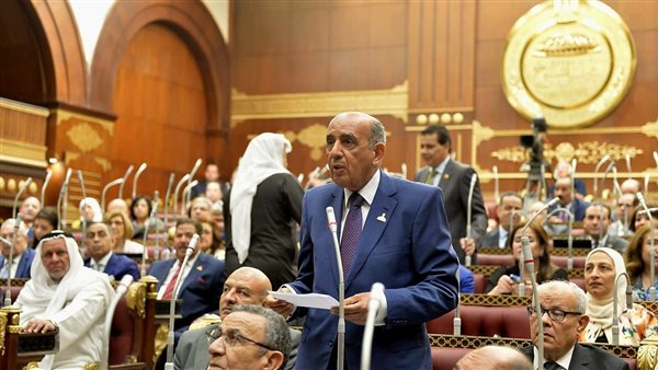 النائب محمد محمود