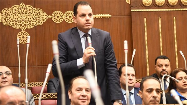 النائب أحمد فوزي