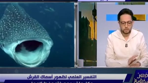  الإعلامي أحمد فايق