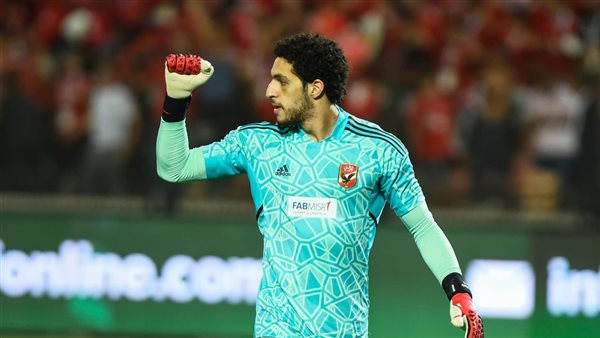 مصطفى شوبير 