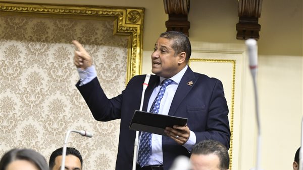 النائب محمد إسماعيل