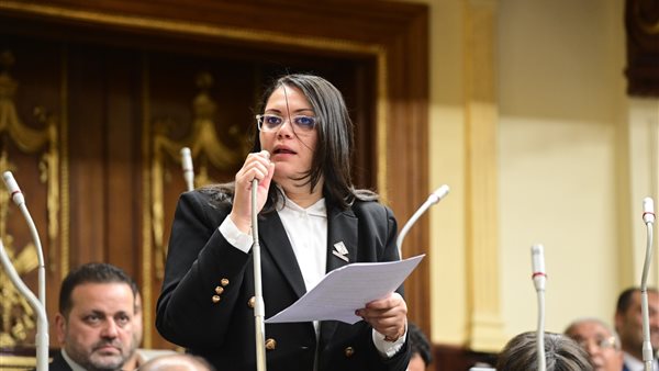  النائبة مارسيل سمير