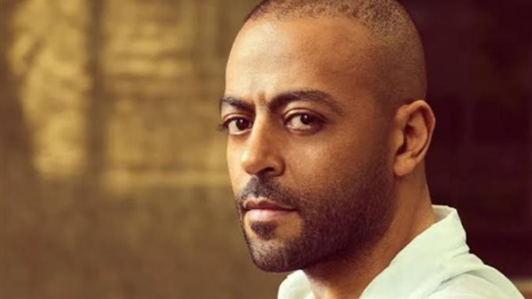 تامر عاشور _ أرشيفية