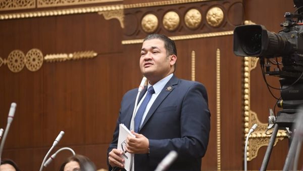 النائب محمد عمارة