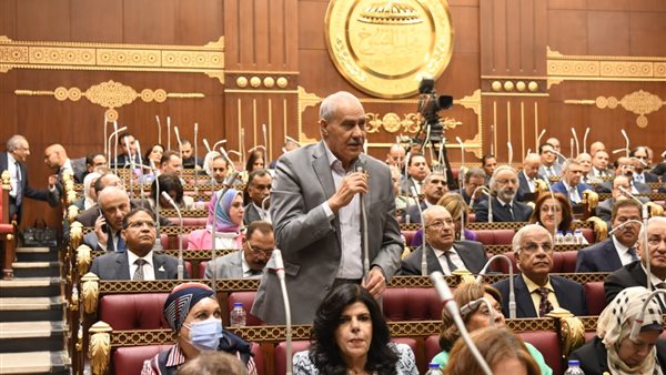 النائب محمد عبدالمعطي