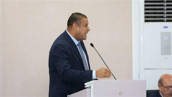 النائب محمد إسماعيل