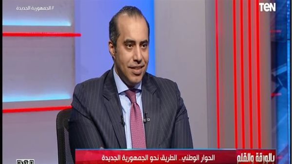 المستشار محمود فوزي