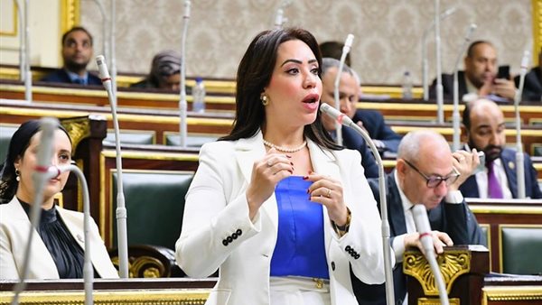 النائبة غادة علي