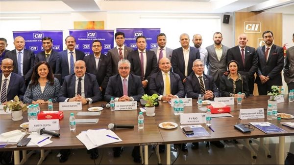 قناة السويس 