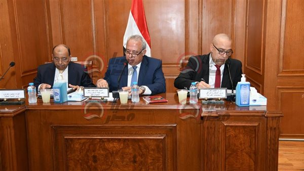 لجنة الإسكان والمحلية