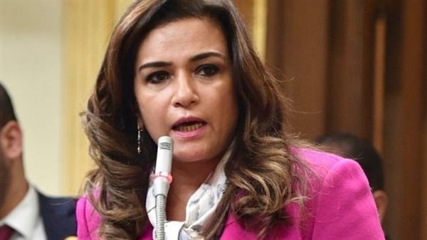 النائبة سحر طلعت