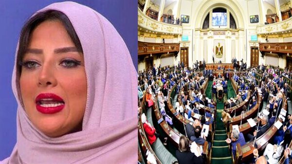 نائب بمجلس الشيوخ