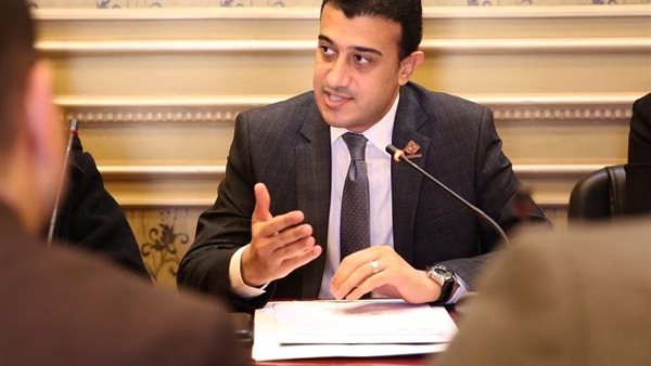 النائب طارق الخولي