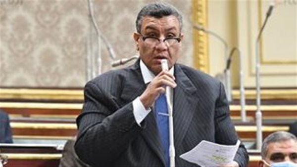 النائب مصطفى سالم