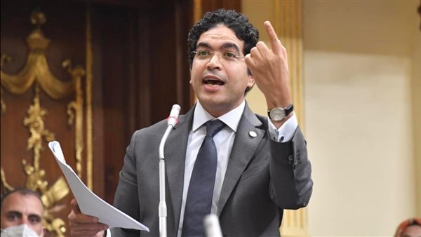 النائب ضياء الدين