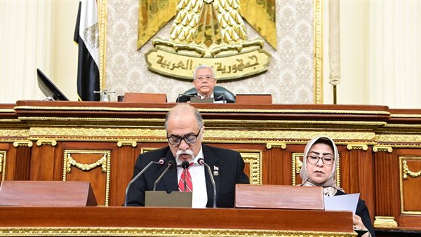 النائب عبد الهادى