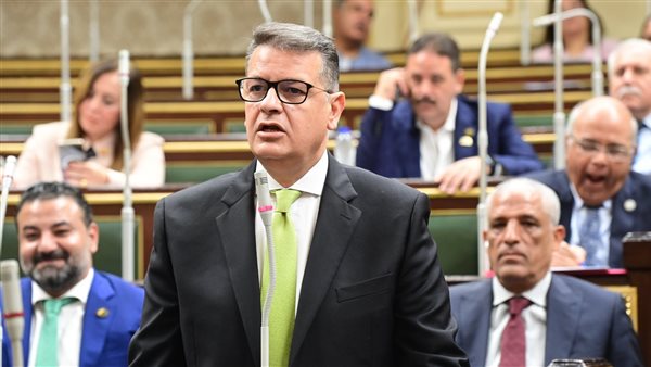 النائب طارق رضوان