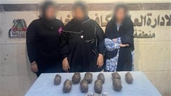 عصابات المخدرات