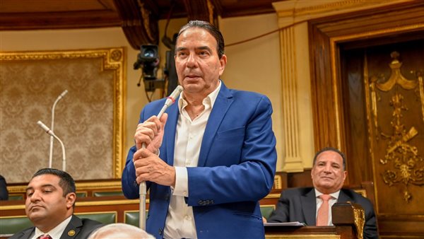 أيمن ابو العلا