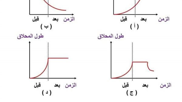 تكات الهرمونات فى