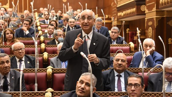 النائب حسانين توفيق