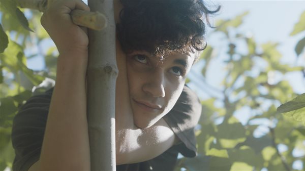 فيلم تحت الشجرة