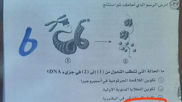 إجابات امتحان الأحياء