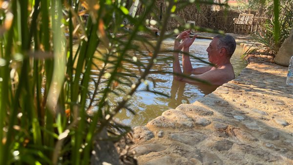 محمود حميدة