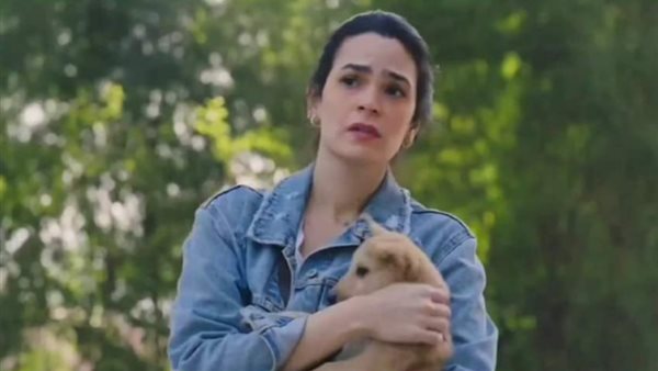 إنجي سلامة _ أرشيفية