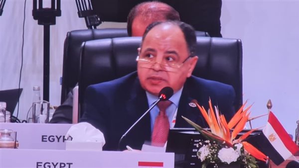 وزير المالية 