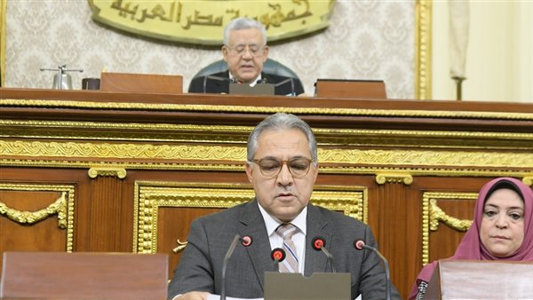 أحمد السجينى 