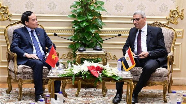 لقاء المستشار أحمد