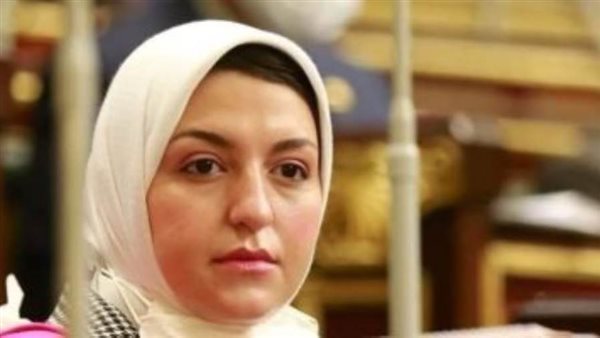 النائبة هدى عبدالستار