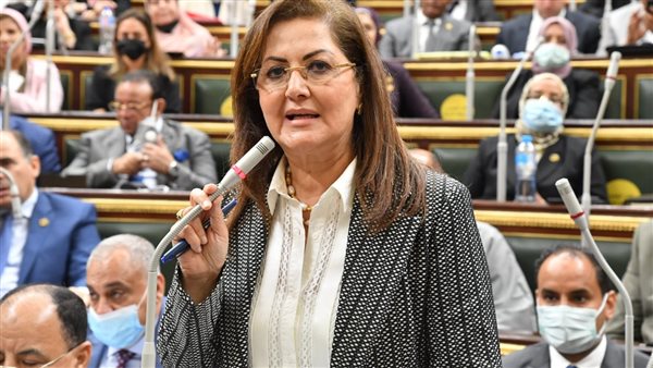 وزيرة التخطيط  أمام