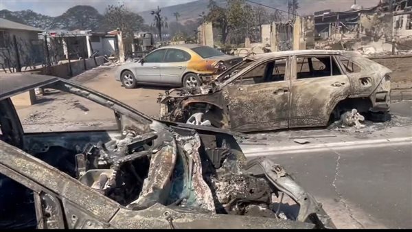 آثار حريق غابات جزر