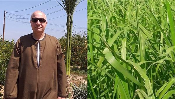 نقابة الفلاحين والمنتجين