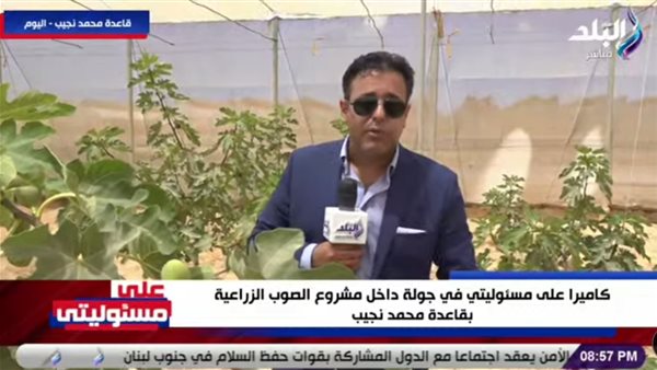 الإعلامي هاني النحاس