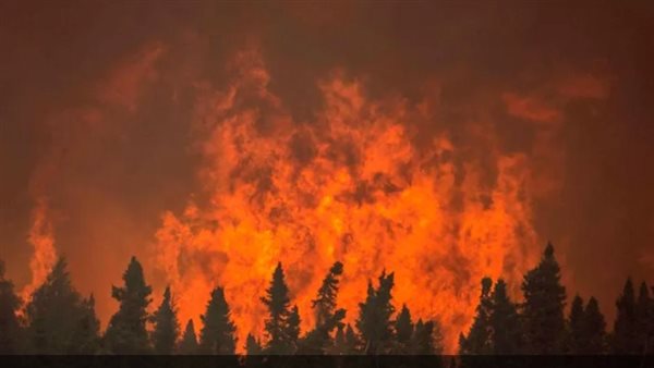 حرائق غابات - ارشيفية