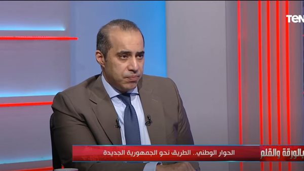 المستشار محمود فوزي