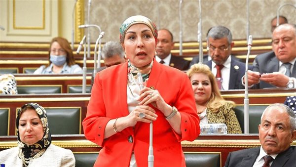  النائبة هالة أبو