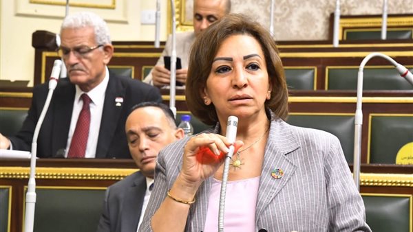 النائبة مها عبد الناصر