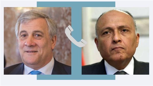 وزير الخارجية المصري