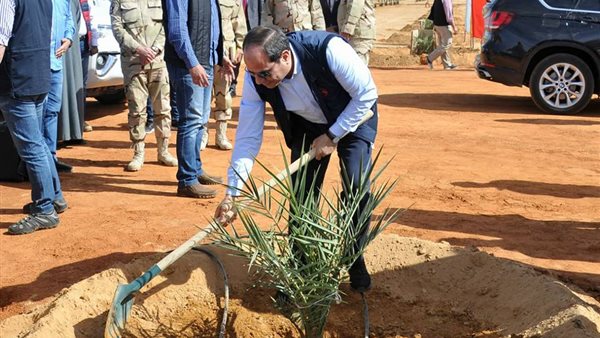 مشروع توشكى