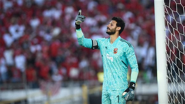 محمد الشناوي 