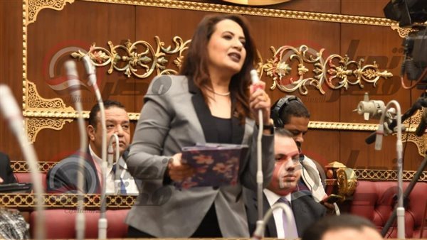  النائبة راجية الفقي