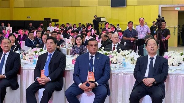 وزير التنمية المحلية