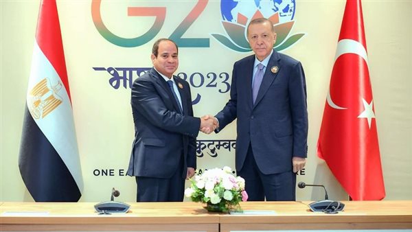 السيسي وأردوغان -