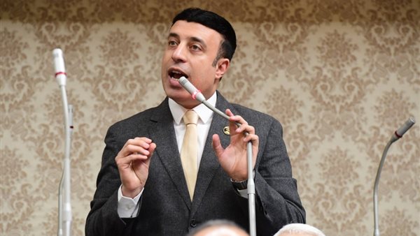 النائب أحمد الشناوي