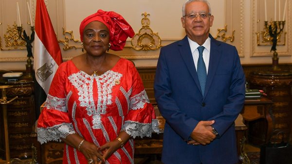 المستشار الدكتور